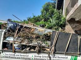 Best Construction Debris Removal  in Yankton, SD