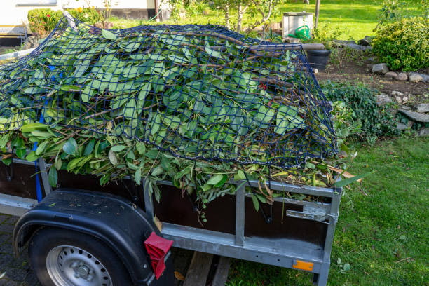 Best Shed Removal  in Yankton, SD